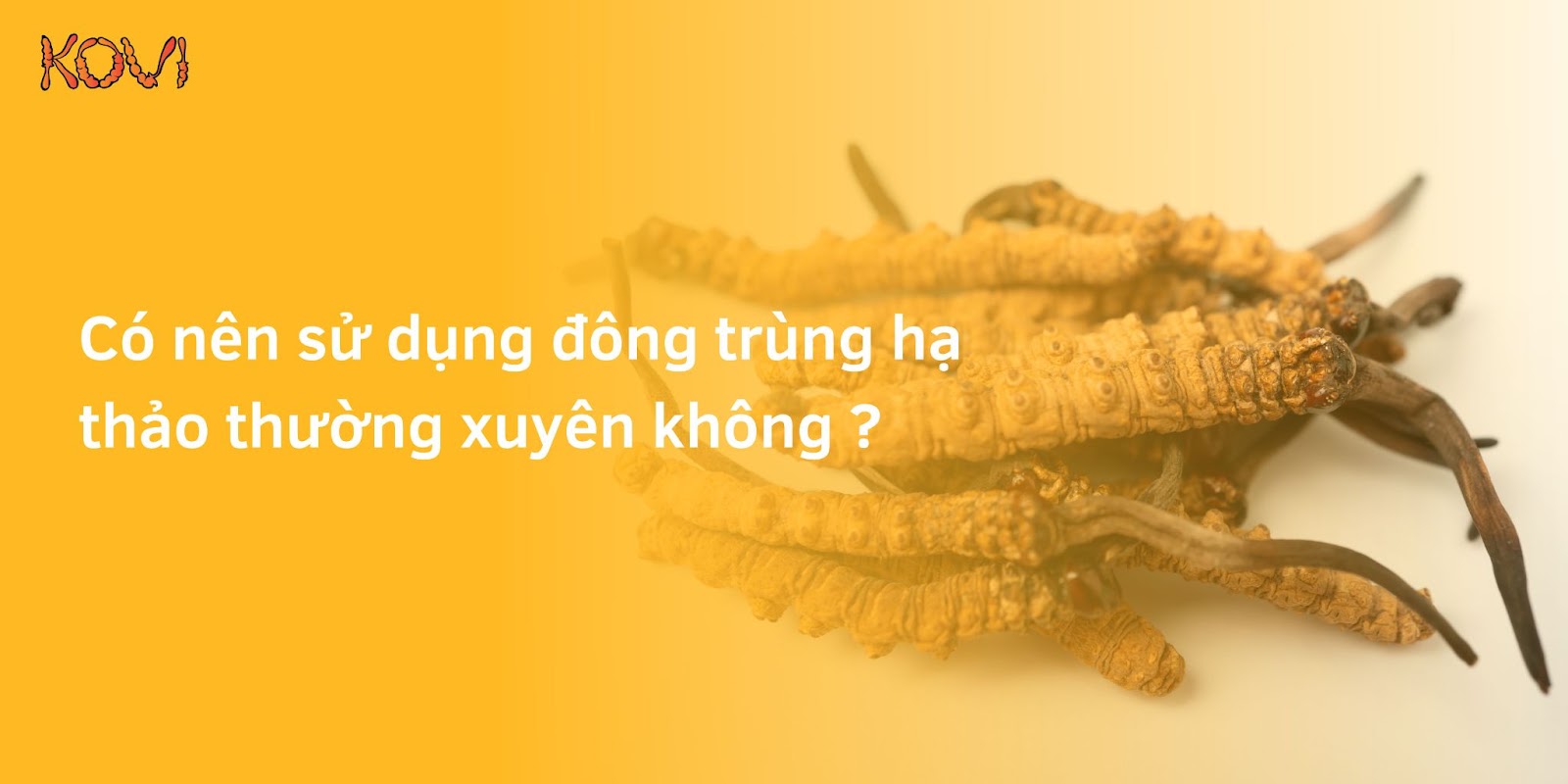 Có nên dùng đông trùng hạ thảo thường xuyên không ?