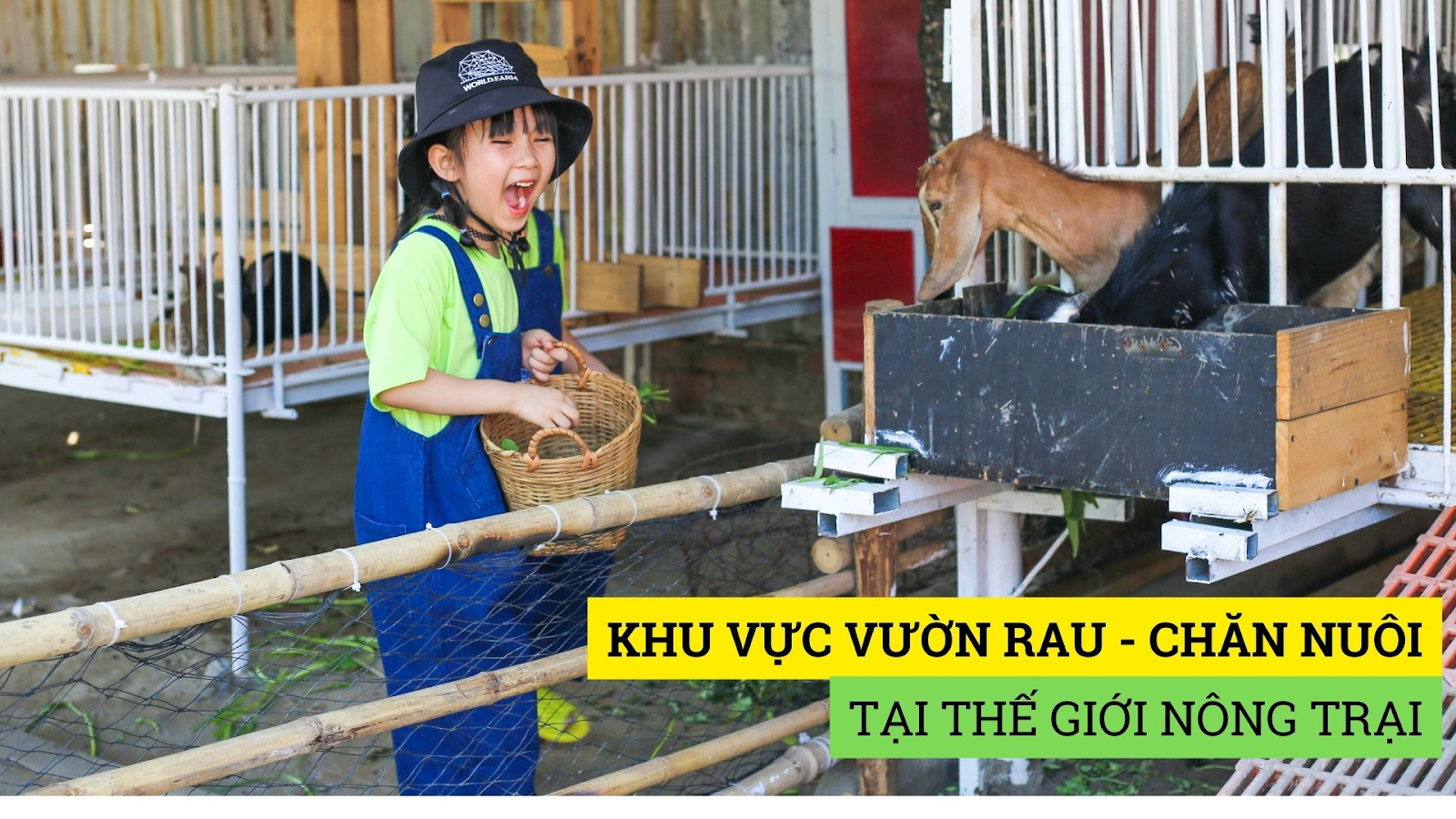 Thăm khu vực chuồng nuôi vườn rau của nông trại