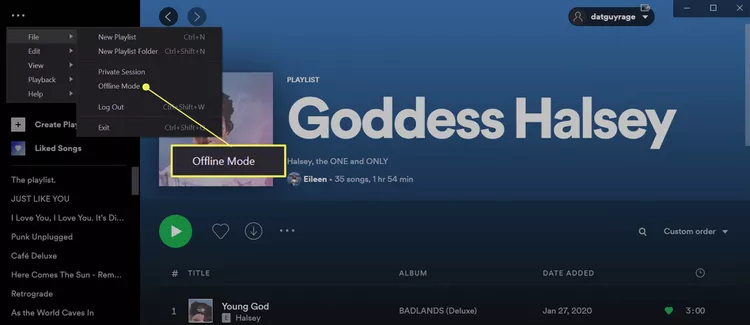 An illustration on how to turn on online mode on Spotify desktop: choose File and click Offline mode