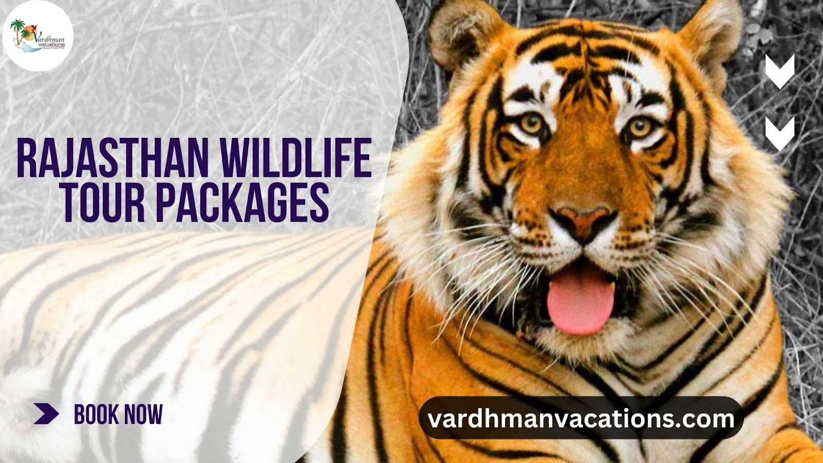 Rajasthan Wildlife Tour Packages 
