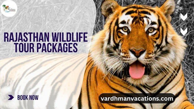 Rajasthan Wildlife Tour Packages: Explore the Wild Side of Rajasthan