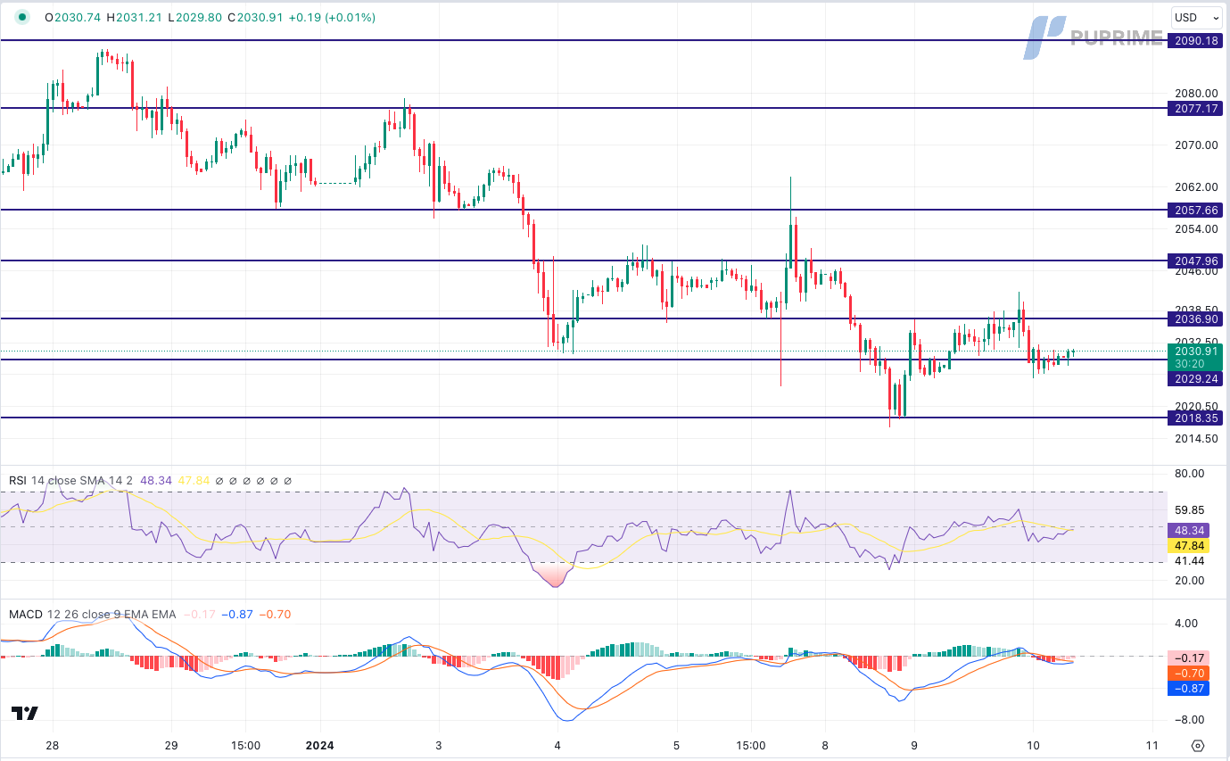 xau/usd gold price chart 10 January 2024