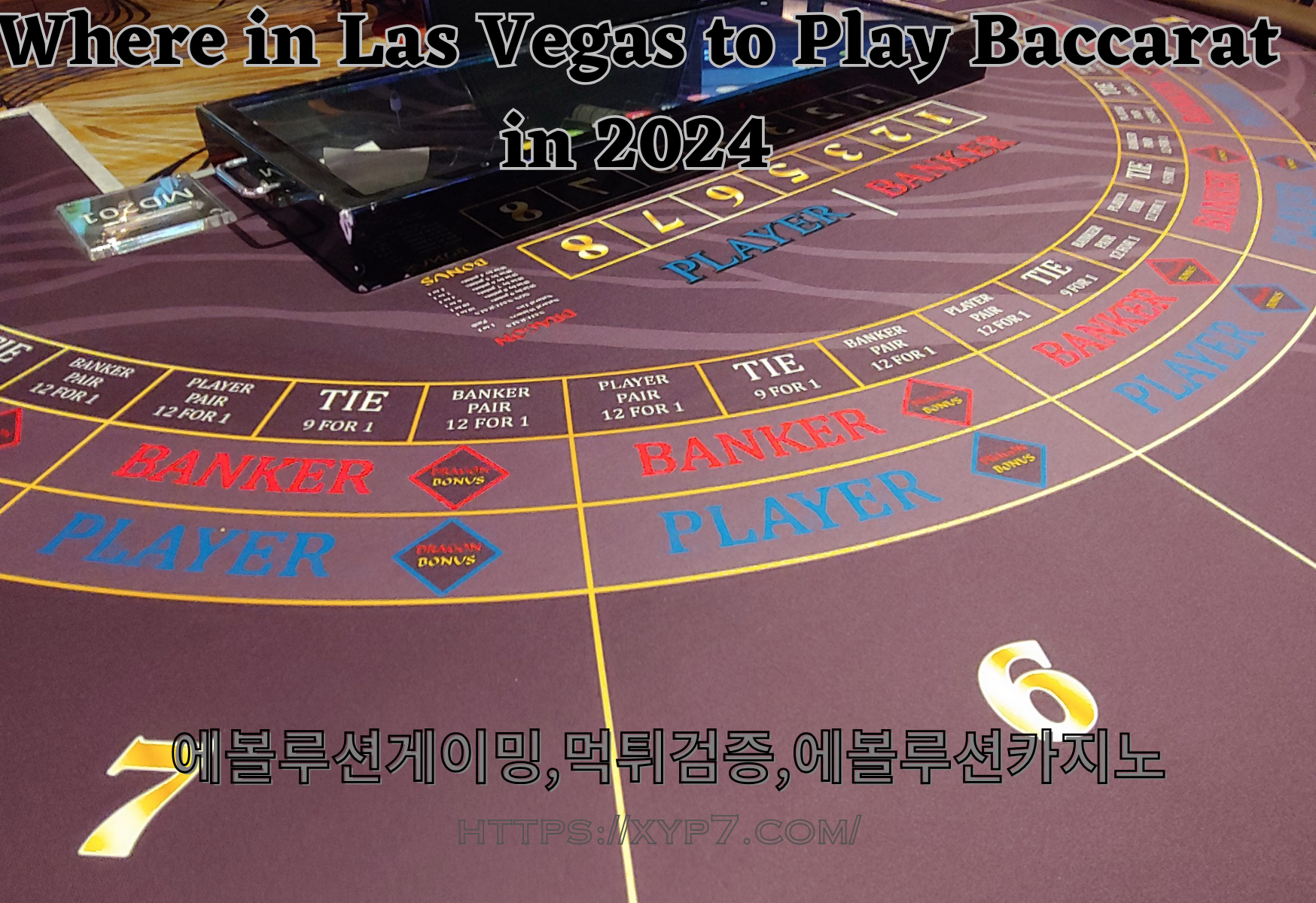 Where in Las Vegas to Play Baccarat in 2024?