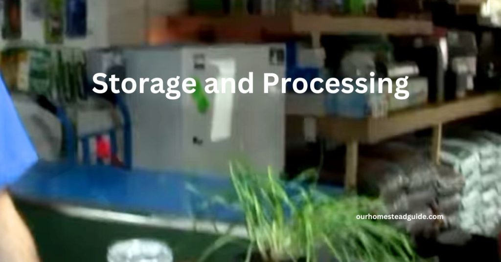 Storage and Processing
