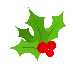 A green leafy plant with red berries

Description automatically generated