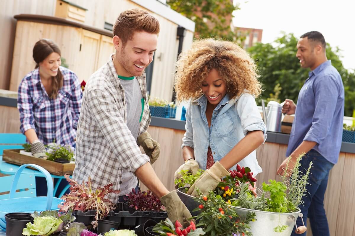 Patients watering some plants and fixing their garden