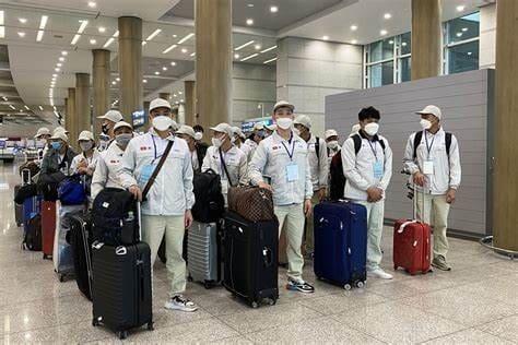 https://saigonnhonews.com/wp-content/uploads/2024/02/OIP.jpg