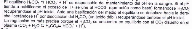 Texto

Descripción generada automáticamente