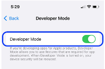 Turn the toggle green to enable Developer Mode on iPhone.