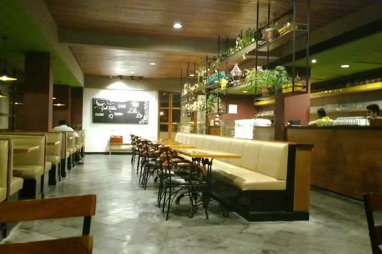 Cocoa Tree - Panampilly Nagar