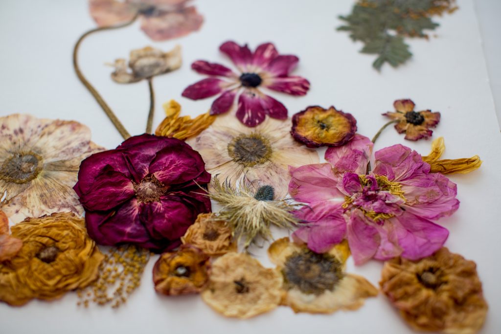 DIY: PRESSED FLOWER ART – Shannon Kirsten Studio