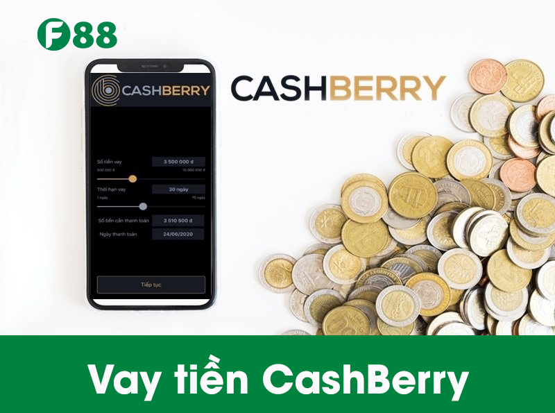 CashBerry là gì? Hướng dẫn vay CashBerry nhanh nhất
