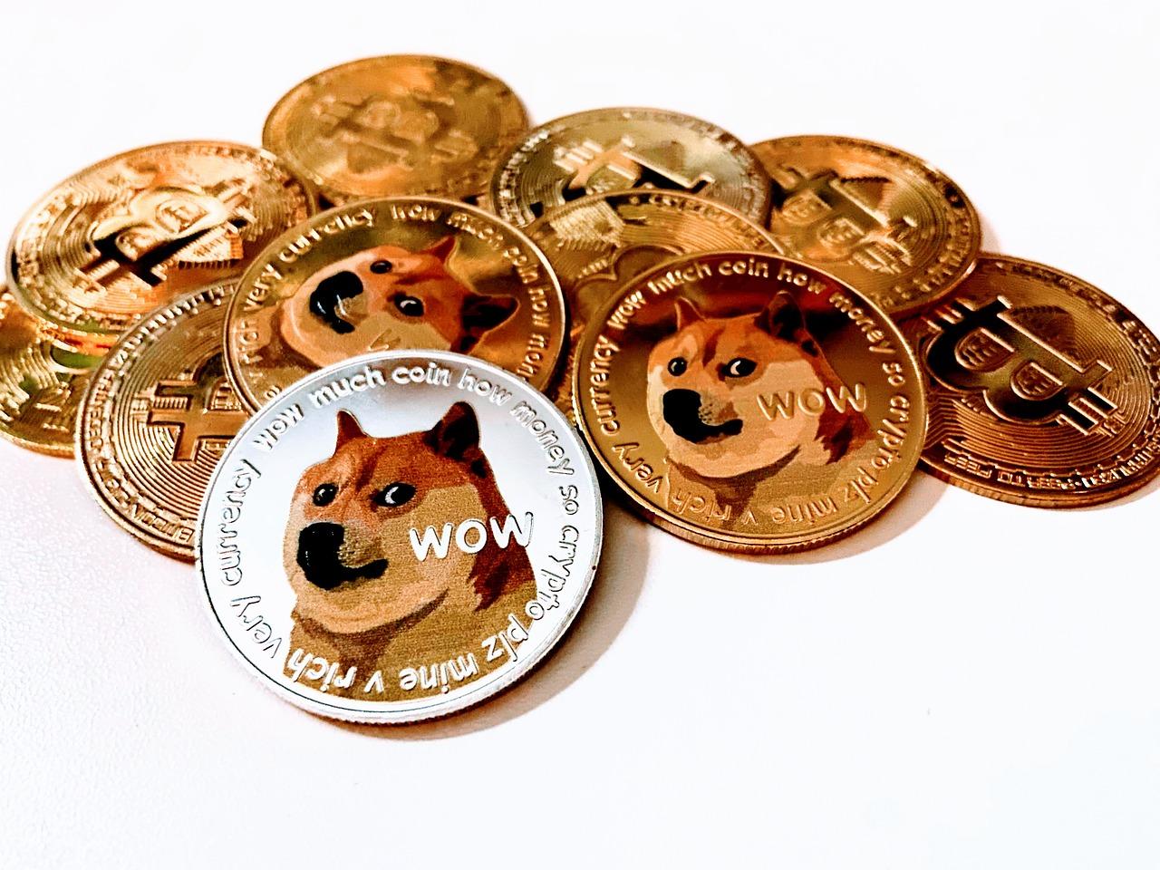 Free Dog Bitcoin photo and picture