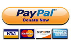 paypal donate now button.png