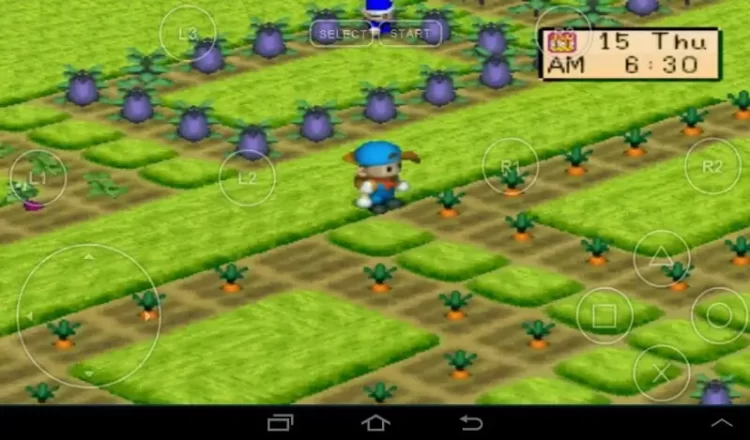 Cara Mendapatkan Kuda di Harvest Moon