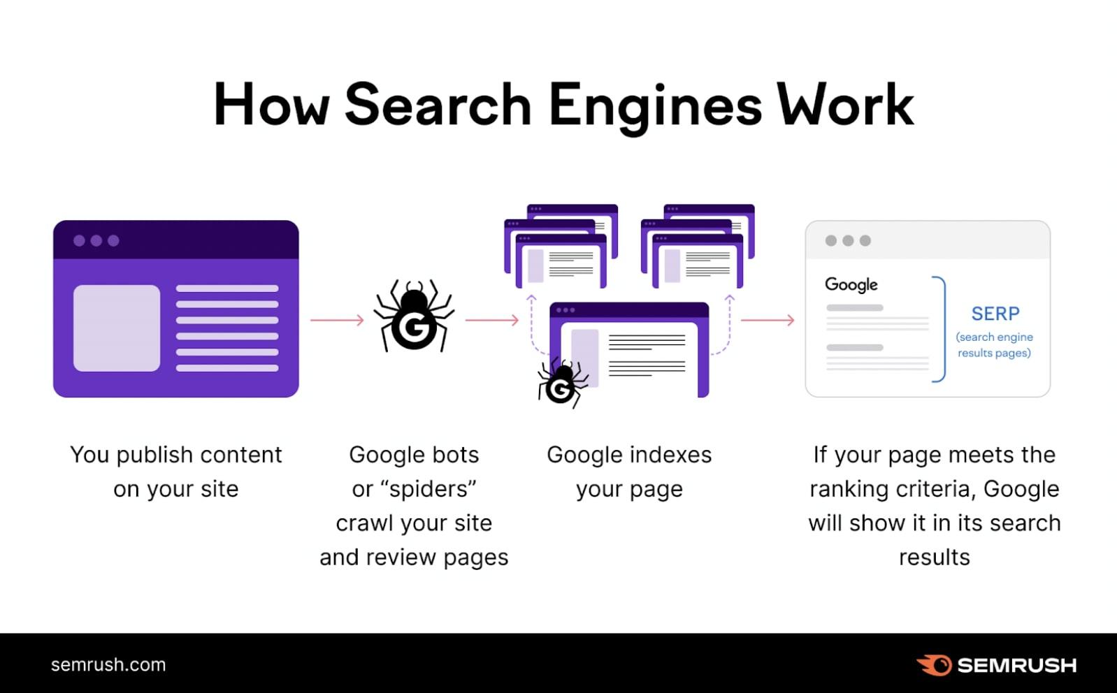 SemRush SEO Schema