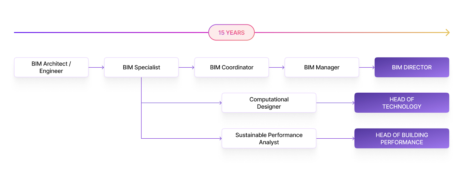 Career trajectory of a BIM professional