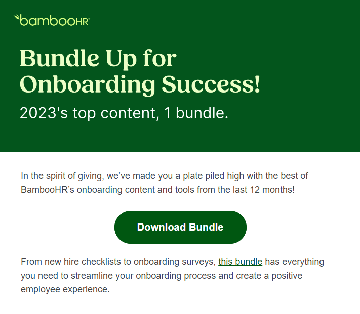 BambooHR email marketing campaign example