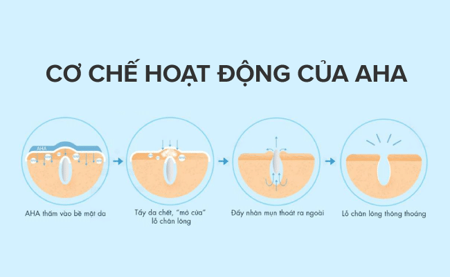 7. Kết Luận: Bạch Quả - Thảo Dược Hữu Ích Cho Sức Khỏe