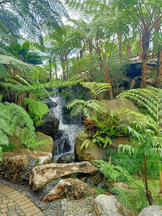 Waterfall- Ferns Landscape