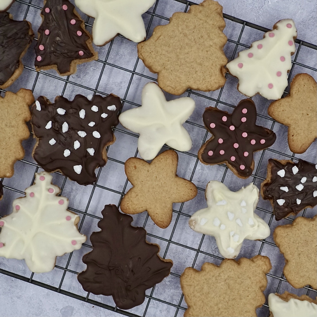 spicy christmas cookies 