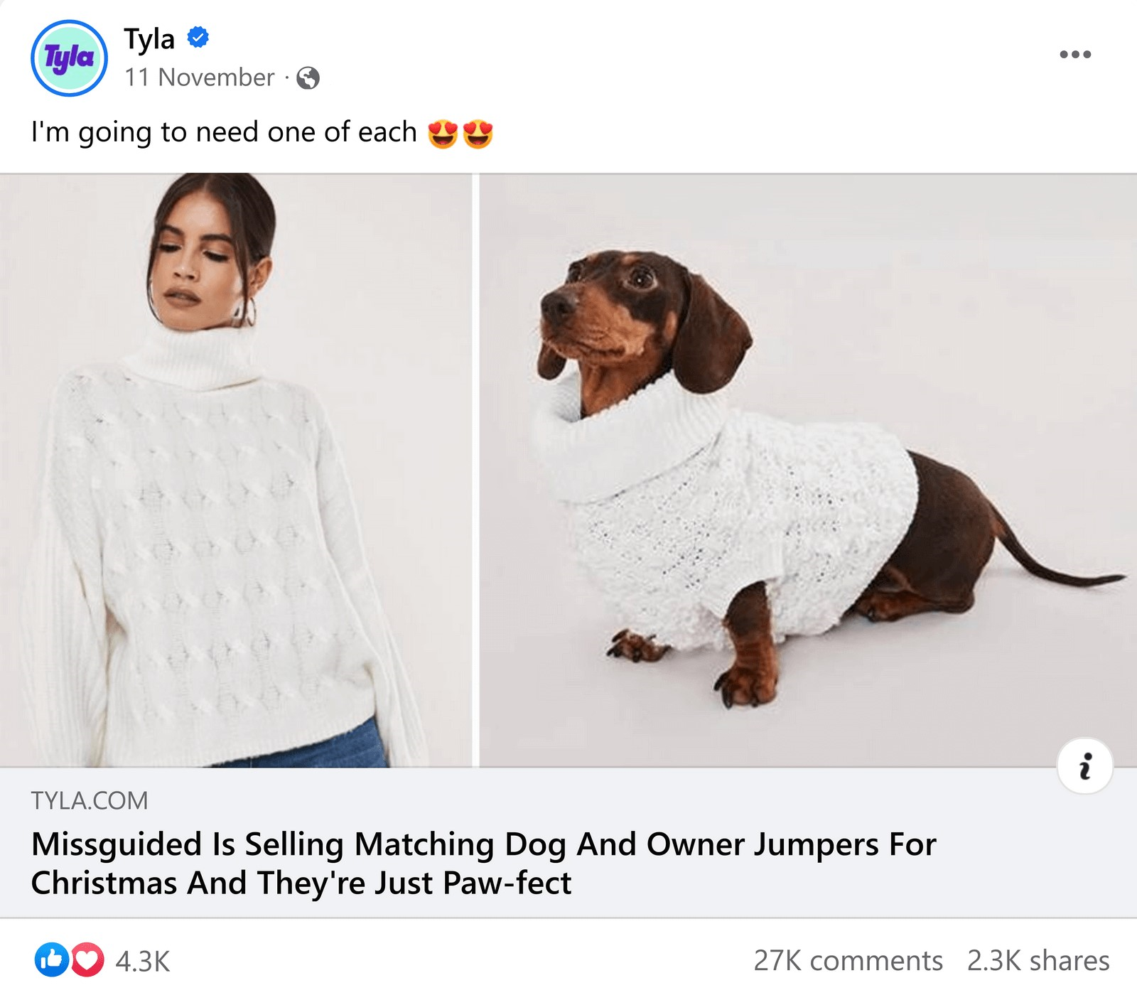 Missguided Dog Jumpers Campaign