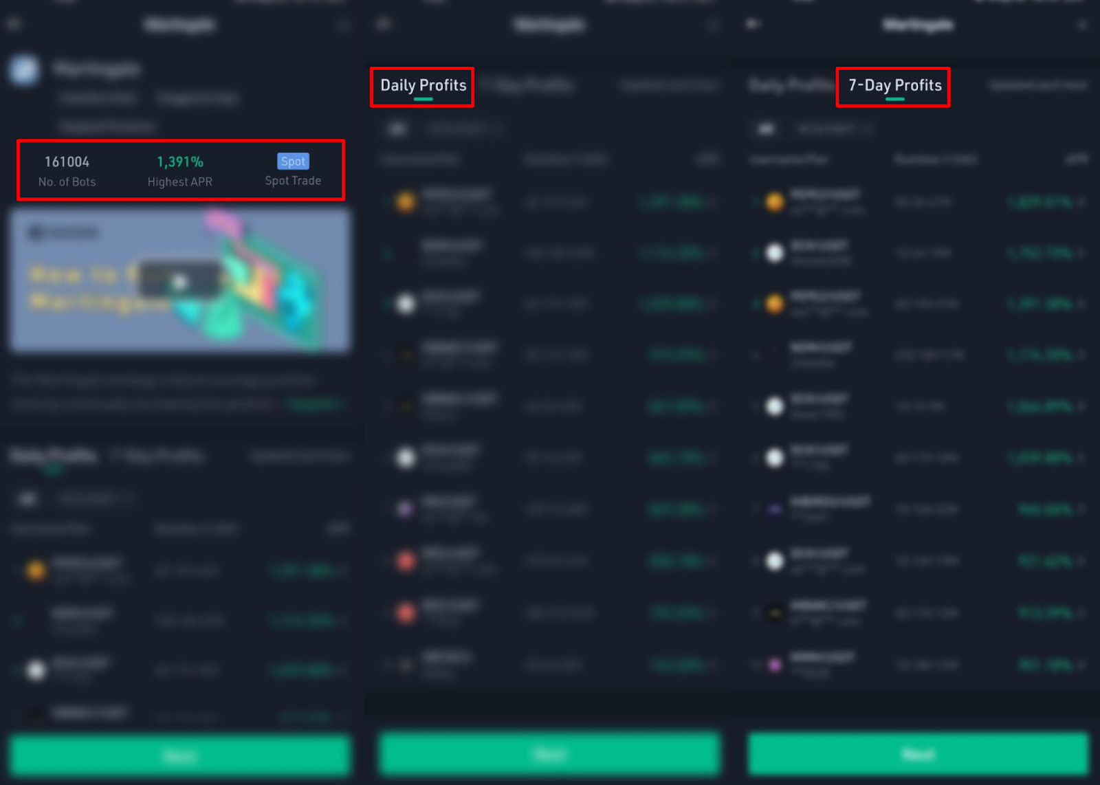 Exploring the Martingale Bot Interface 