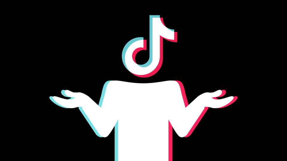 Should I Still Bother With TikTok: The App's Pros and Cons - Wishu
