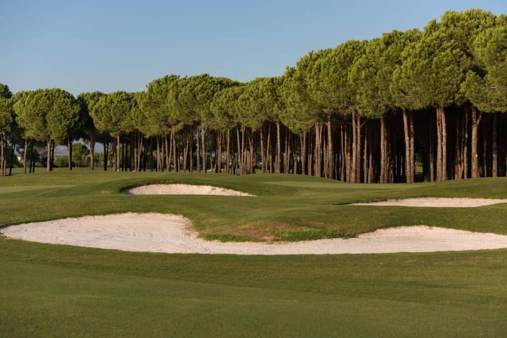 Constructing The 18-Hole Golf Course