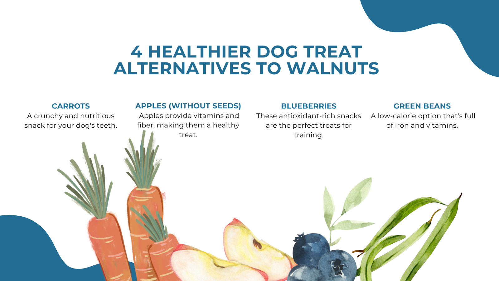 4 healthier dog treat alternatives to walnuts