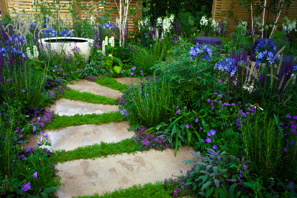 Landscape Design