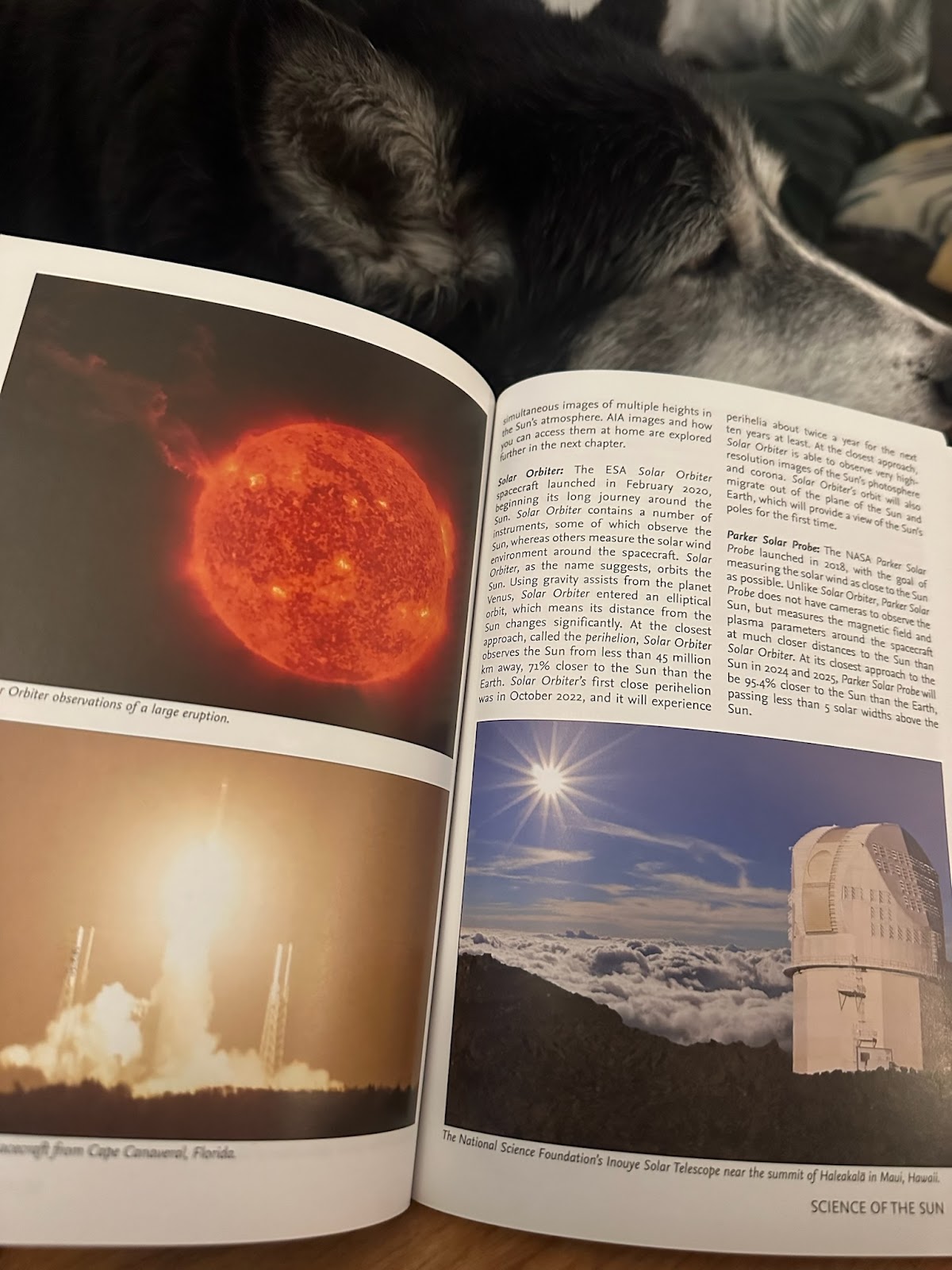 A small book open to a page with a full color image of the sun, another image of an observatory, and a rocket launch. There is a sleepy black and white dog in the background
