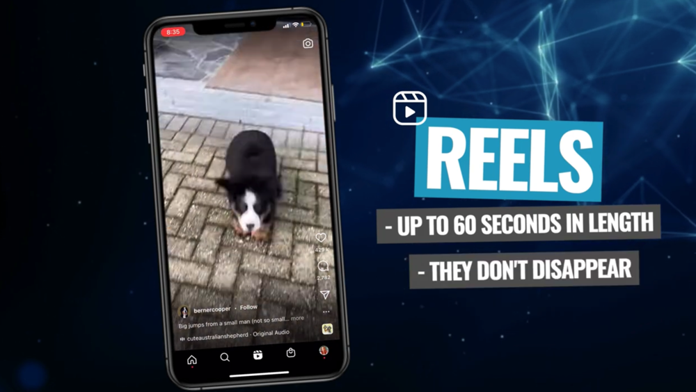 Graphic image of a phone with a puppy and text that says "REELS - Up to 60 seconds in length - they don't disappear"