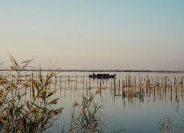 Parque Natural de l'Albufera