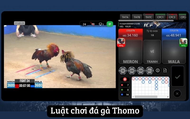 Luật chơi đá gà Thomo