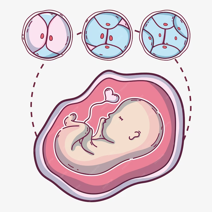 Low Ovarian Reserve
