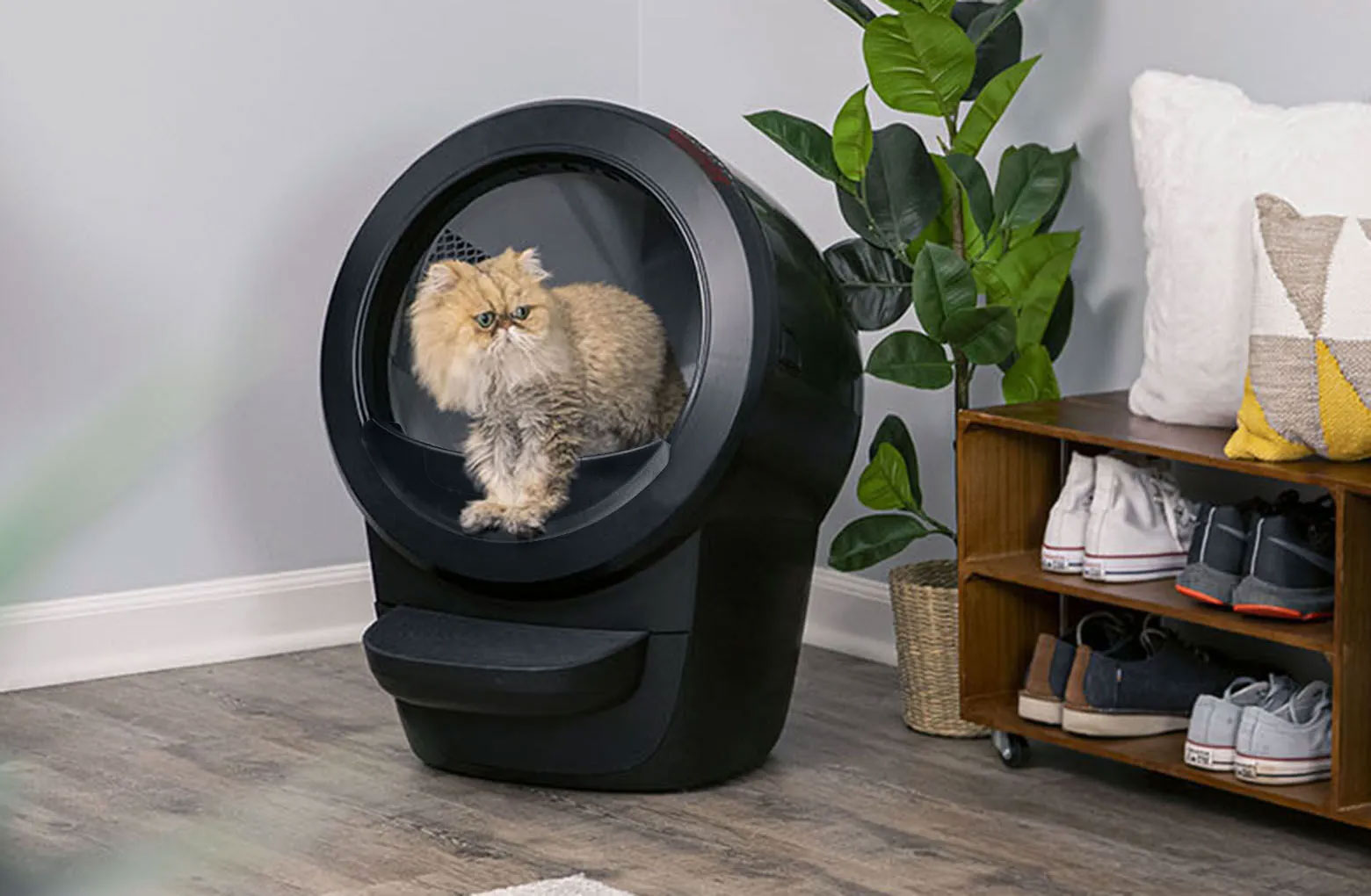 Sponsored Never Scoop Again With Litter Robot The Purrfect Gift For Cat Owners Cat Forum