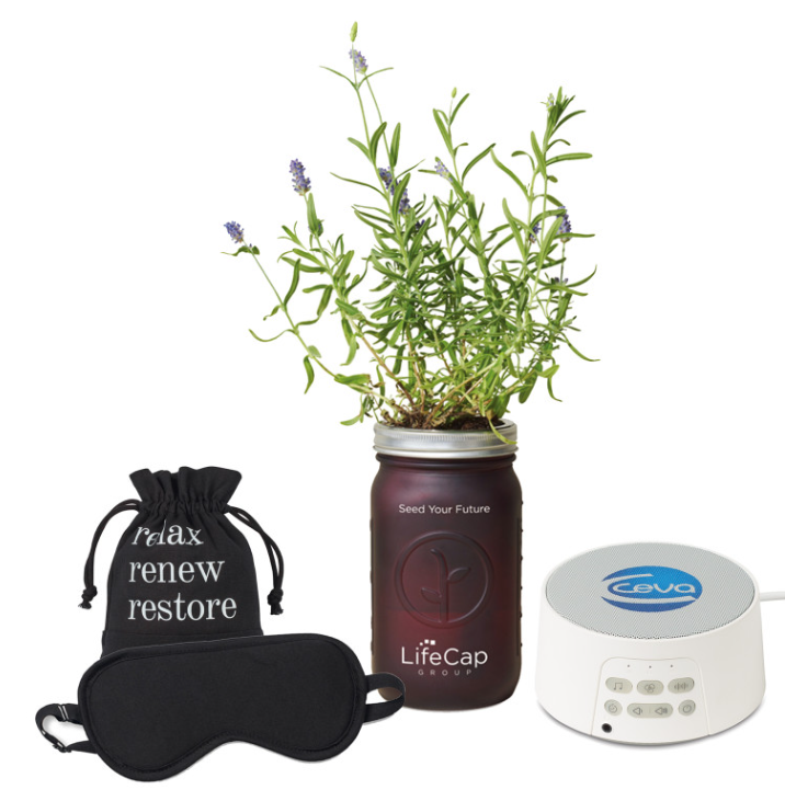 Screenshot of a pouch, a sleep mask, a plant, and a sound machine. 