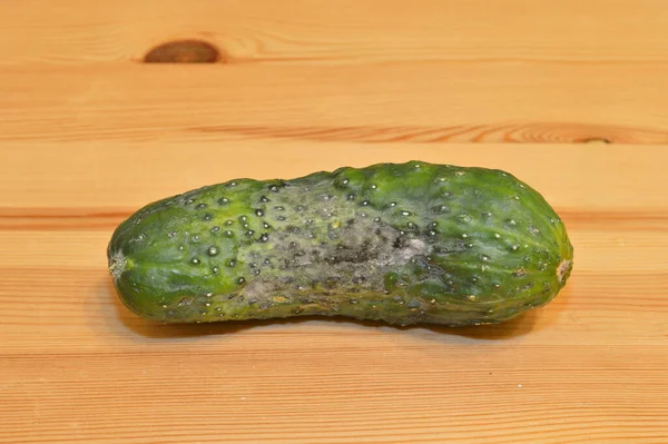 A cucumber with mold on it

Description automatically generated