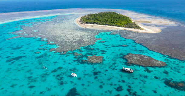 Barrier Reef ecosystems