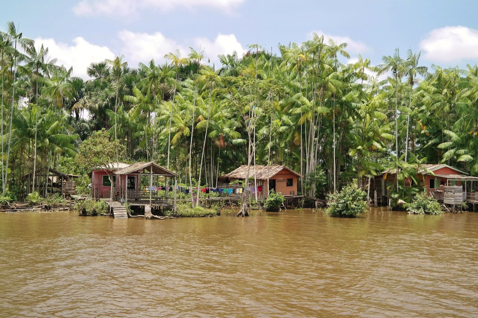 Casas de palafita na beira do Rio no Pará, com a floresta ao fundo