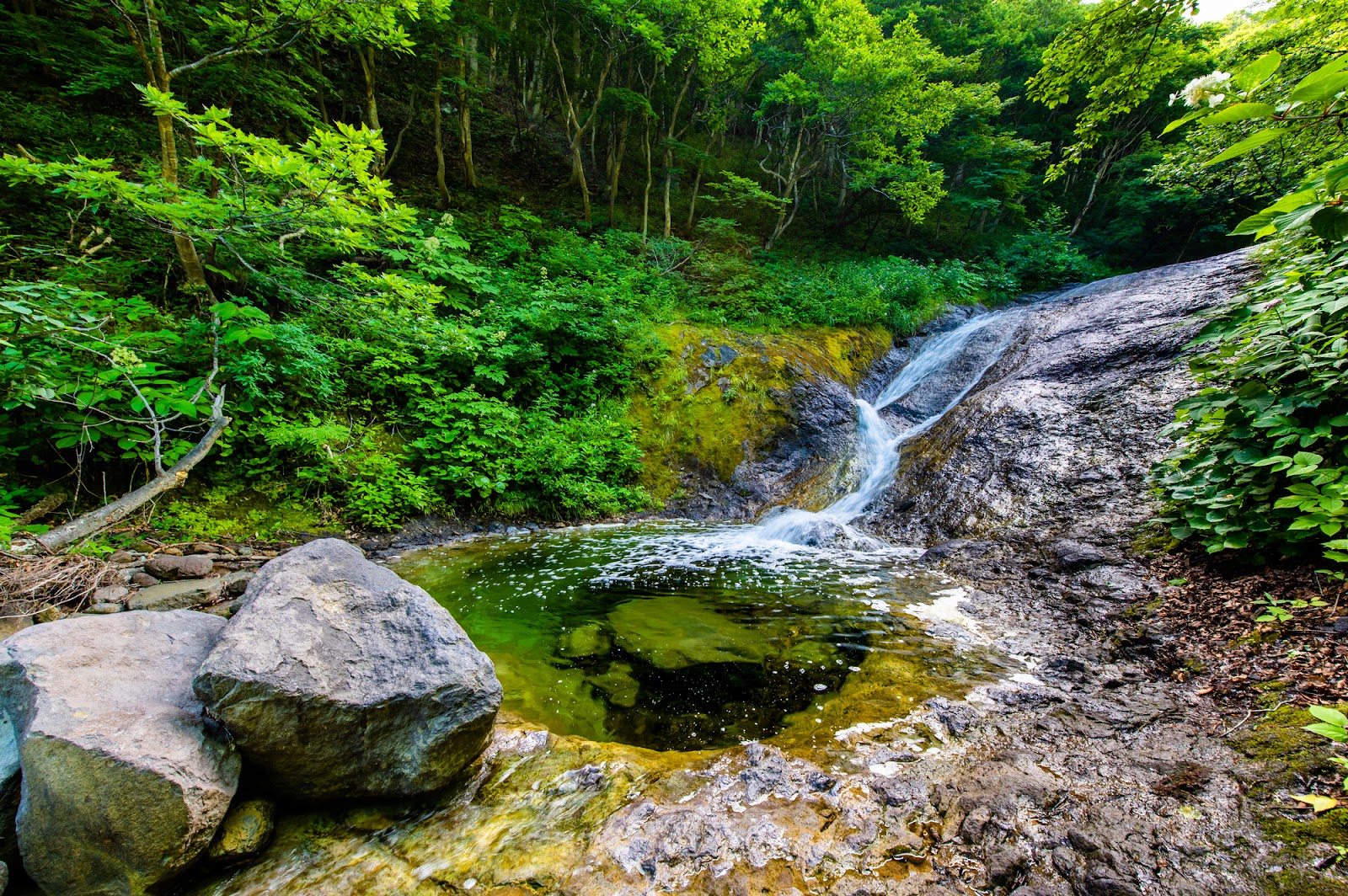 3、【知床｜斜里町】野生の魅力あふれる感動体験「カムイワッカ湯の滝」