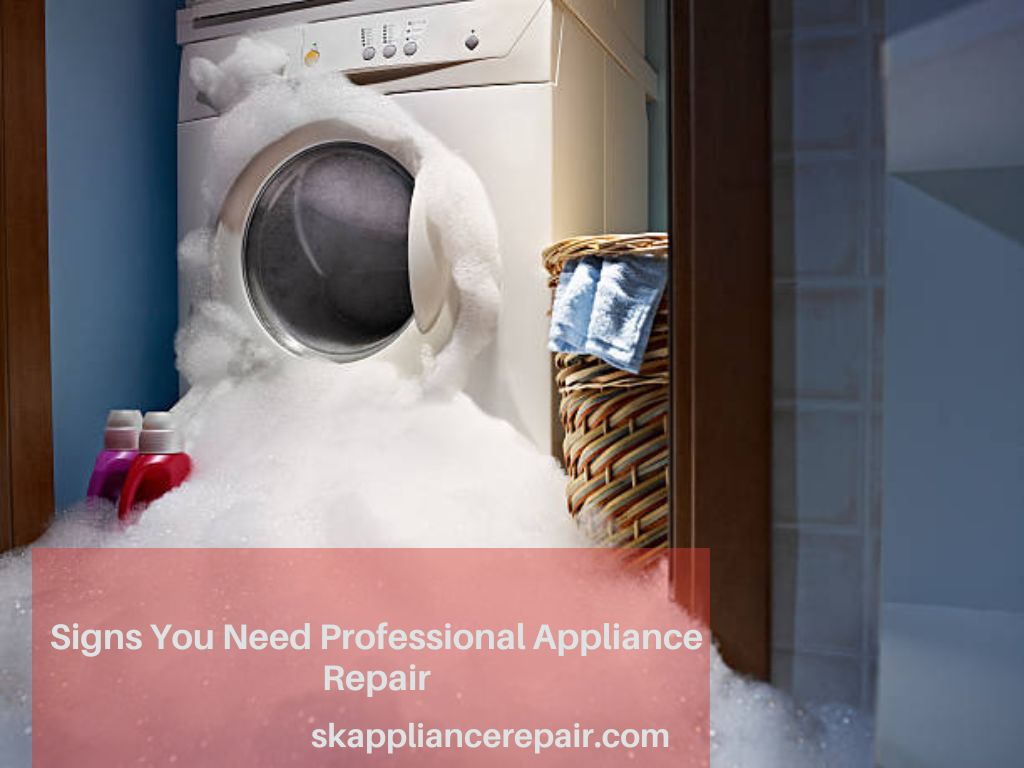 Signs You Need Professional Appliance Repair