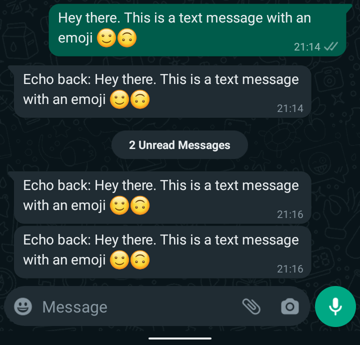 WhatsApp echo bot custom text messages