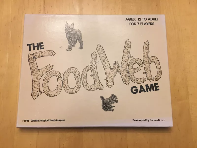 food web activity for elementary students