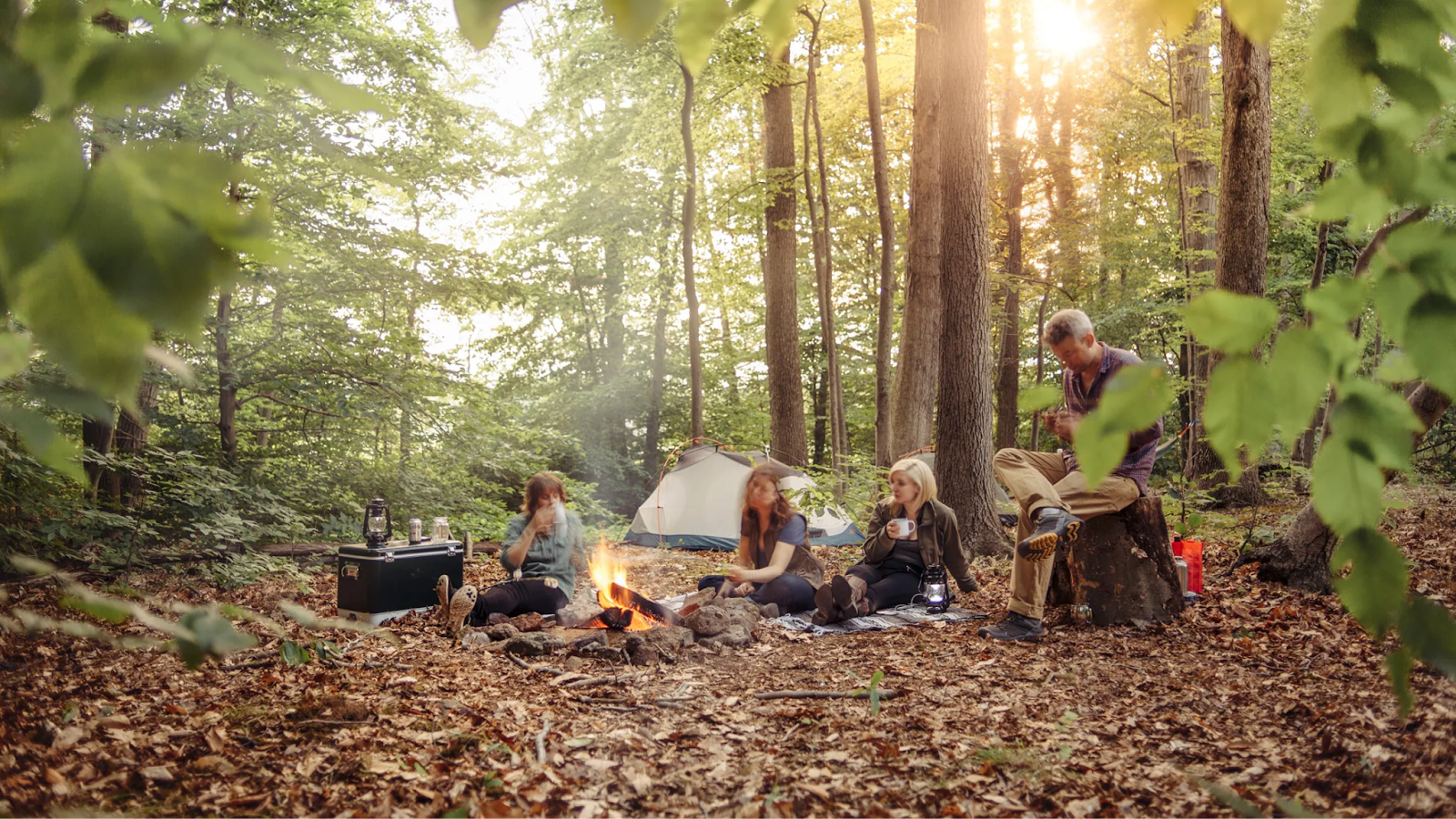 Campfire Cookout