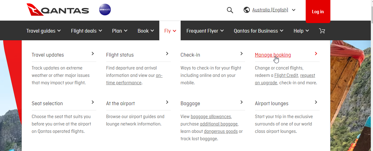 Qantas extra baggage online