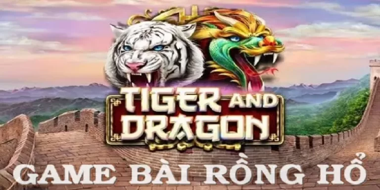 Hướng dẫn cách chơi rồng hổ 6686 cơ bản dành cho game thủ