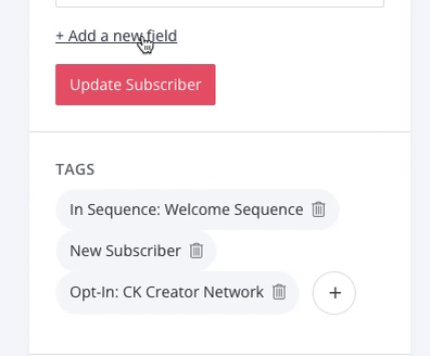 Video of creating new custom field on subscriber's page in ConvertKit and clicking, "Update Subscriber" for email marketing for bloggers