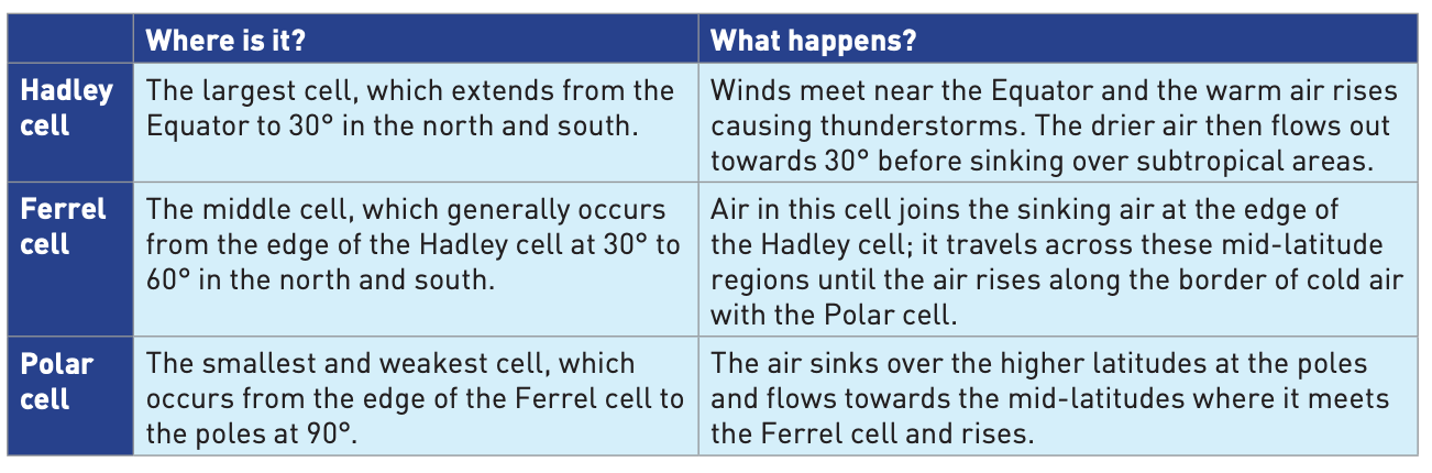 iGCSE Geography revision notes:The Equatorial Climate and Rainforests